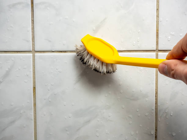 Professional Mold Removal in Big River, CA