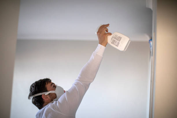Best Fast Mold Removal  in Big River, CA