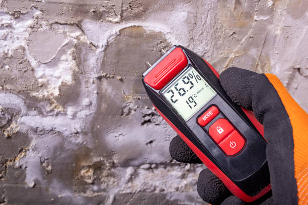 Best Residential Mold Removal  in Big River, CA