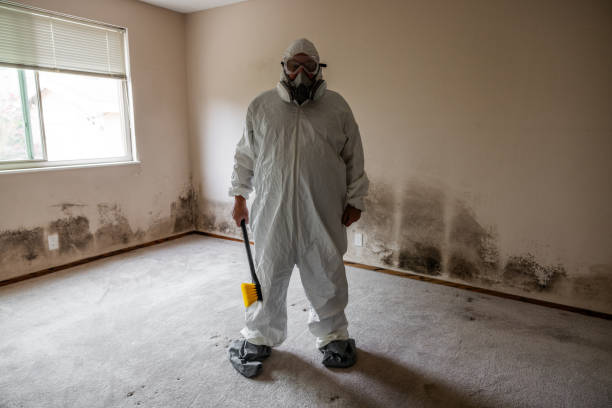 Best Mold Testing  in Big River, CA